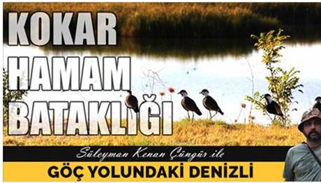 Örnek haber adı gelecek.