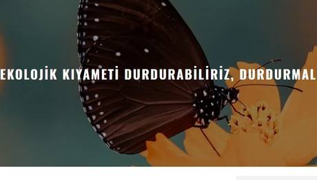 Örnek haber adı gelecek.
