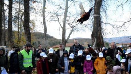 Karacabey Longozu'nda Çevre Temizliği