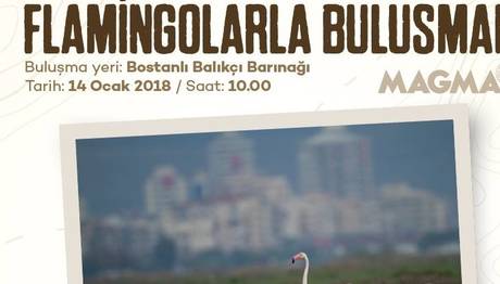 Magma Okur Buluşması
