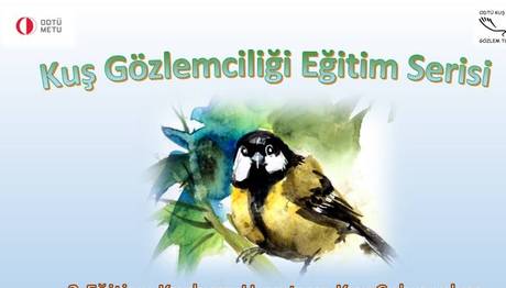 Kuş Gözlemciliği Eğitim Serisi 1. ve 2. Eğitim ve Arazi Eğitimi