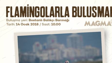 Flamingolarla Buluşmak