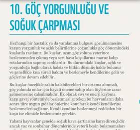 Soğuk havalarda ilk yardım