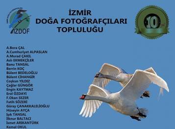 İzdof 10.yıl sergisi
