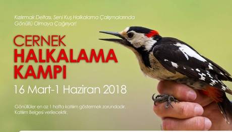 Örnek haber adı gelecek.