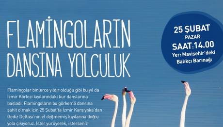 Örnek haber adı gelecek.