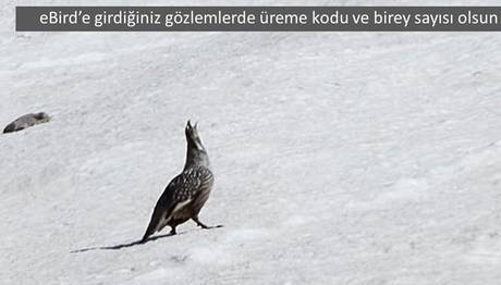 Örnek haber adı gelecek.