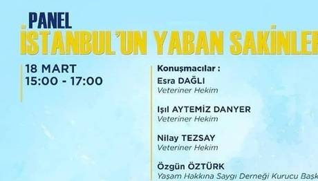 Örnek haber adı gelecek.