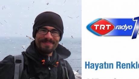 Örnek haber adı gelecek.