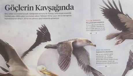 Göçlerin Kavşağında