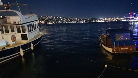 İstanbulda yelkovan kuşu katliamı