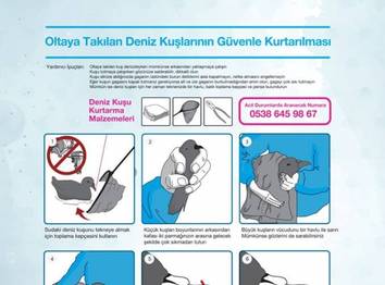 Örnek haber adı gelecek.