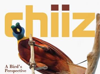 Üyemiz Uluslarası Chiiz Dergisi nde...