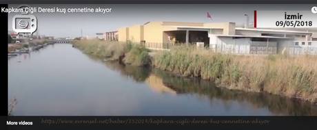 Örnek haber adı gelecek.