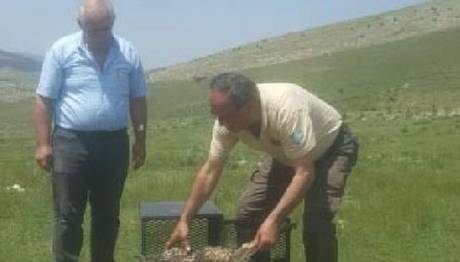 Örnek haber adı gelecek.