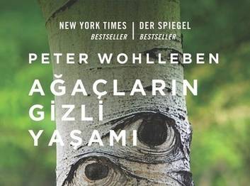  Kitap-Ağaçların Gizli Yaşamı