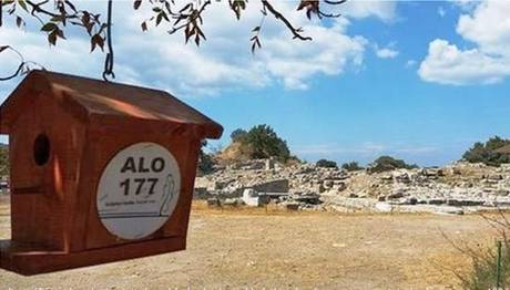 Troya ve Burdur'da Kuşlar İçin Yuvalar Yerleştirildi