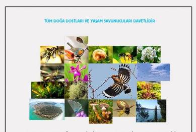 Örnek haber adı gelecek.