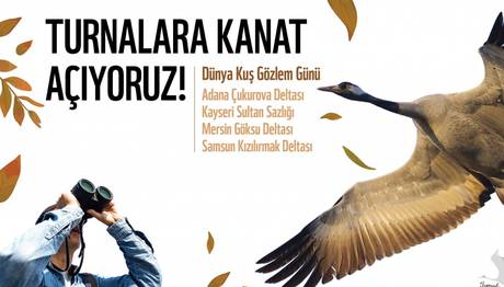 Örnek haber adı gelecek.
