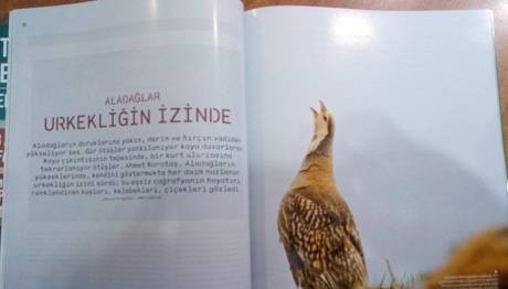 Aladağlar `Urkekliğin İzinde`