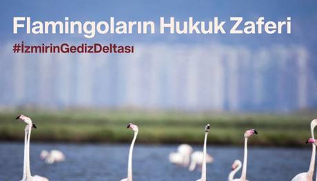 Örnek haber adı gelecek.