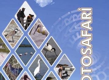 Foto-Safari