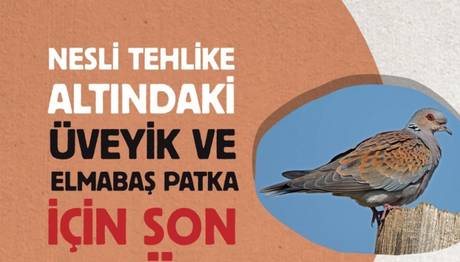 Örnek haber adı gelecek.