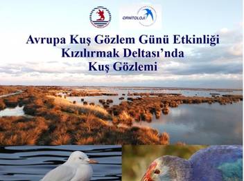 KIZILIRMAK DELTASI NDA KUŞ GÖZLEMİ 	