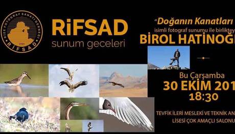 DOĞA NIN KANATLARI 