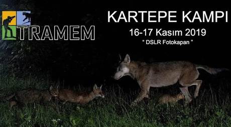 TRAMEM 2019 KARTEPE KAMPI