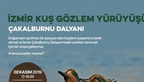 İzmir Kuş Gözlem Yürüyüşü 