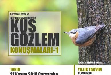 Kuş Gözlem Konuşmaları / İstanbul