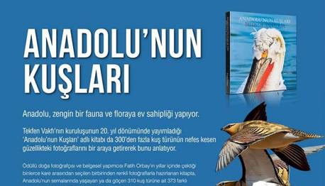 Örnek haber adı gelecek.