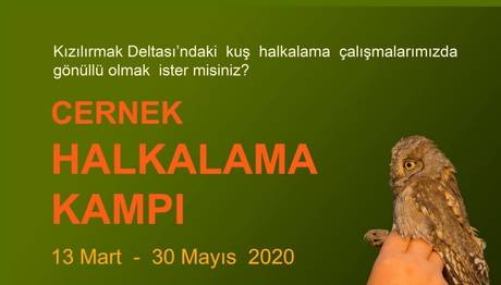 Örnek haber adı gelecek.