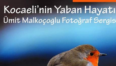 Örnek haber adı gelecek.