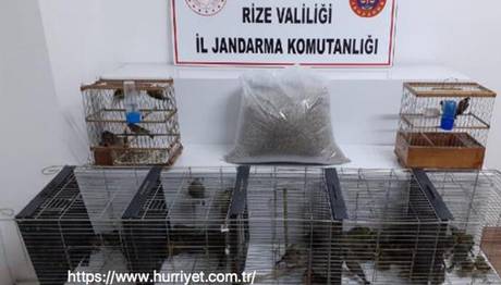 Örnek haber adı gelecek.