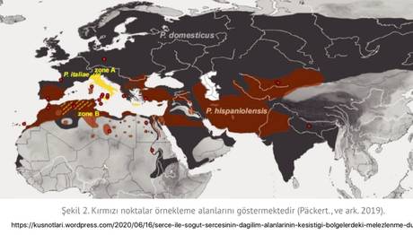 Örnek haber adı gelecek.