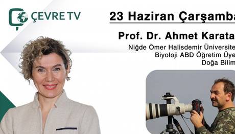 Örnek haber adı gelecek.