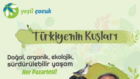 Örnek haber adı gelecek.