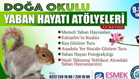 Örnek haber adı gelecek.