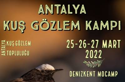 Antalya Kuş Gözlem Kampı  2022