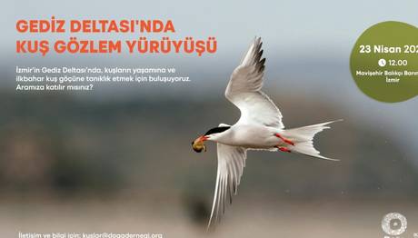 Kuş Gözlem Yürüyüşü