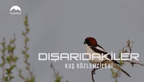 Örnek haber adı gelecek.