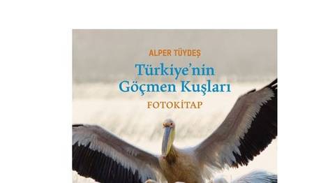 Örnek haber adı gelecek.