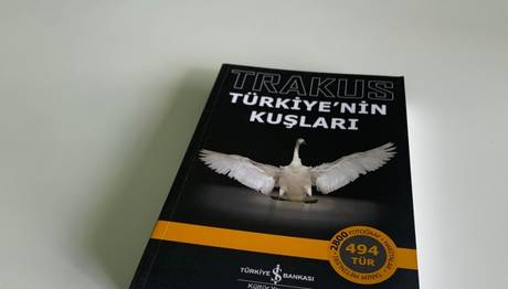 Örnek haber adı gelecek.