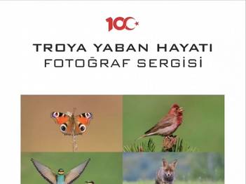 Örnek haber adı gelecek.