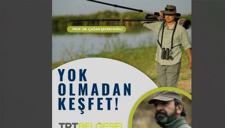 Örnek haber adı gelecek.