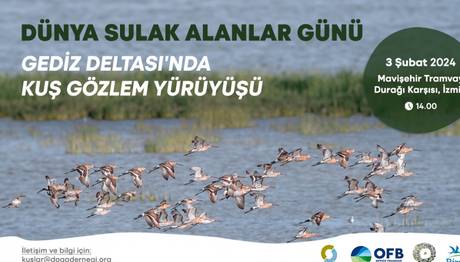 Örnek haber adı gelecek.