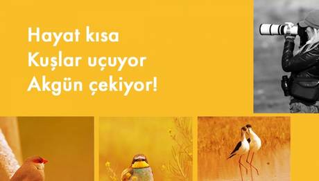 403 Kertik ile Akgün Özen