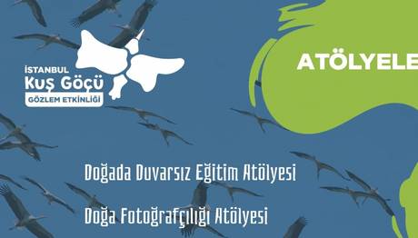 Örnek haber adı gelecek.